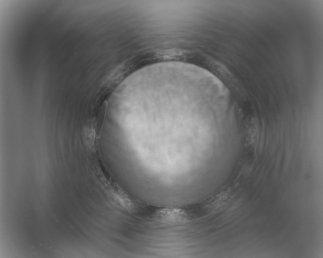 X0000054400427200508192010