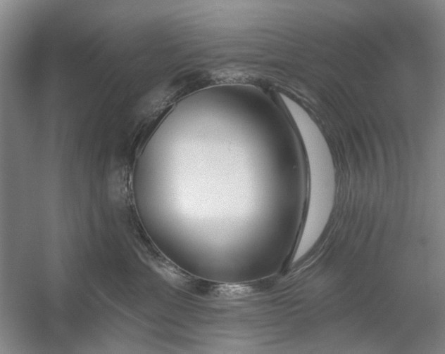 X0000054400429200508192010