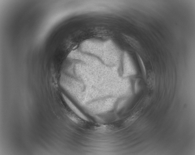 X0000054400430200508192010