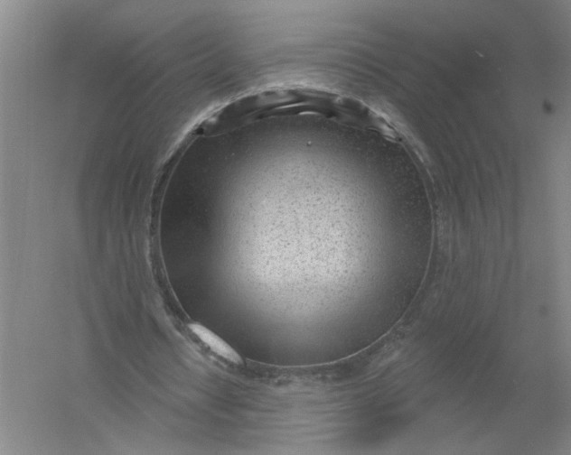 X0000054400434200508192009