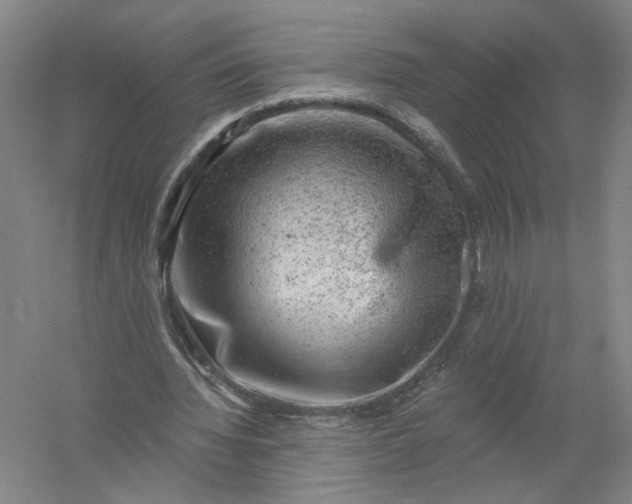 X0000054400436200508192009