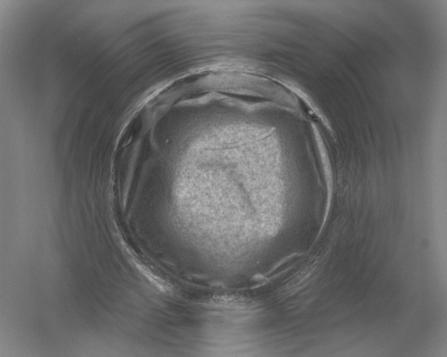 X0000054400437200508192009