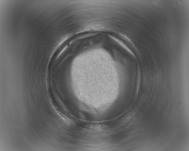 X0000054400439200508192009