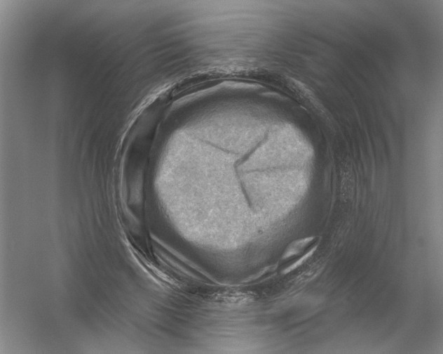 X0000054400443200508192009