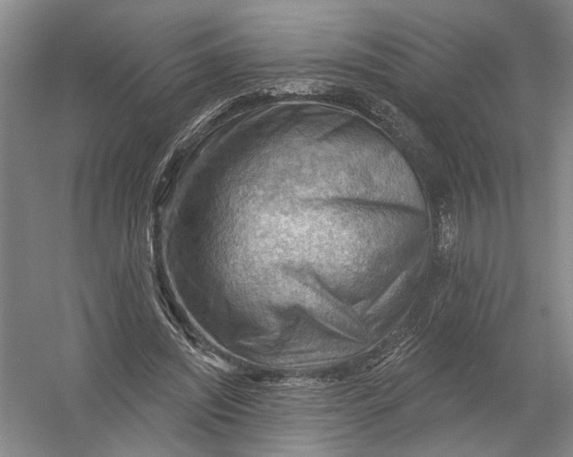 X0000054400444200508192009