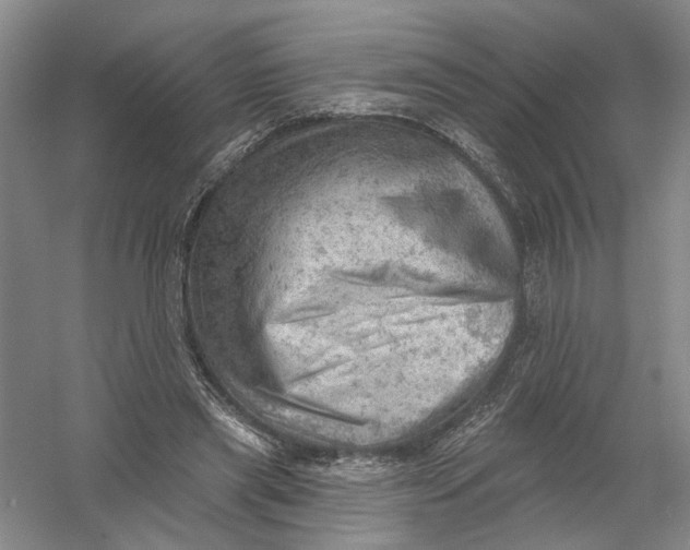 X0000054400445200508192009