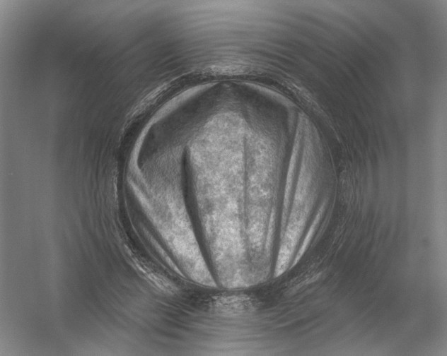 X0000054400446200508192009