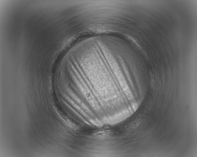 X0000054400447200508192009