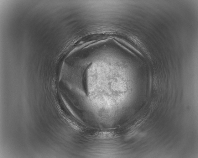 X0000054400449200508192009