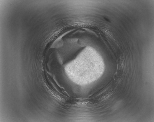 X0000054400450200508192009