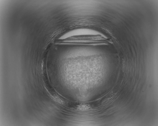 X0000054400451200508192009