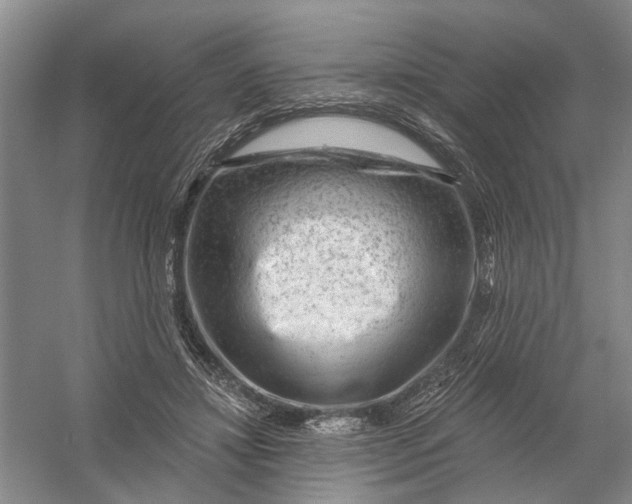 X0000054400452200508192009