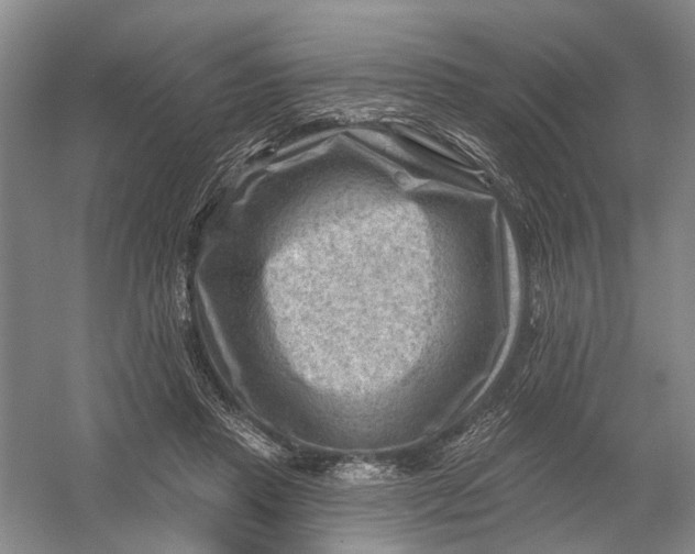 X0000054400453200508192009