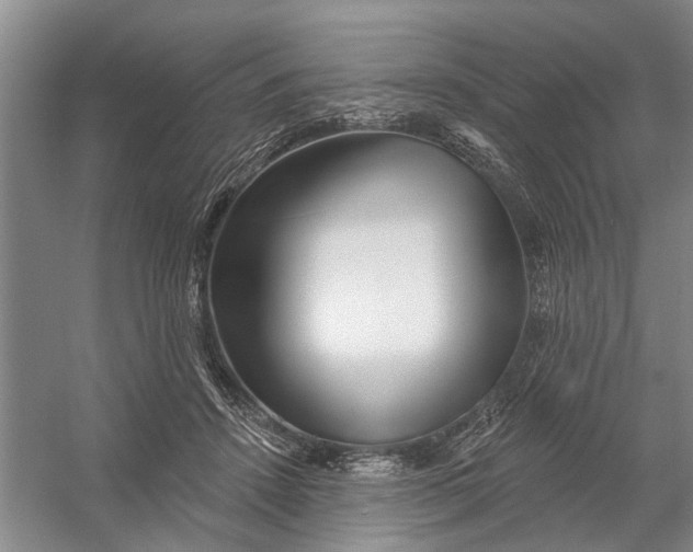 X0000054400456200508192009