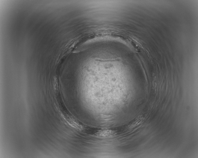 X0000054400459200508192009