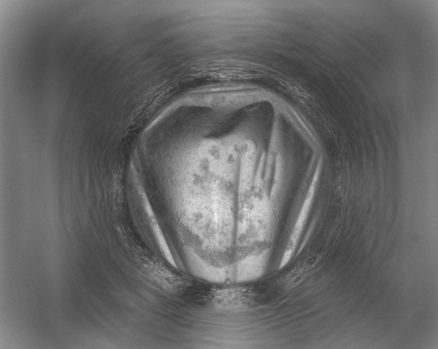 X0000054400461200508192009