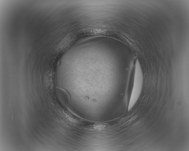 X0000054400462200508192009