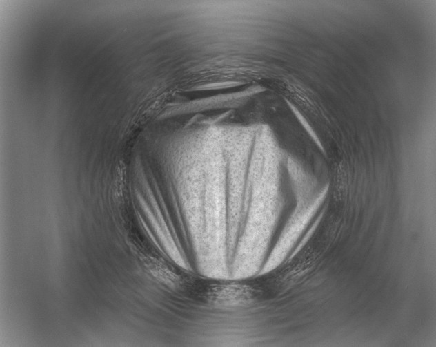 X0000054400463200508192009