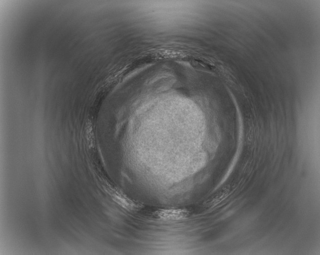 X0000054400465200508192009