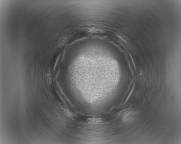 X0000054400469200508192009