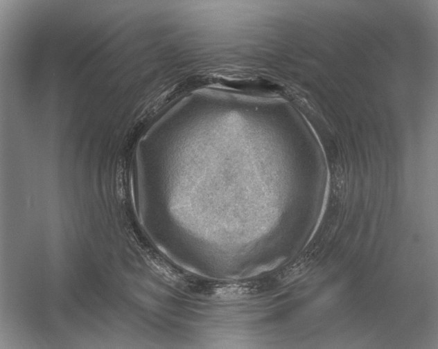 X0000054400470200508192010