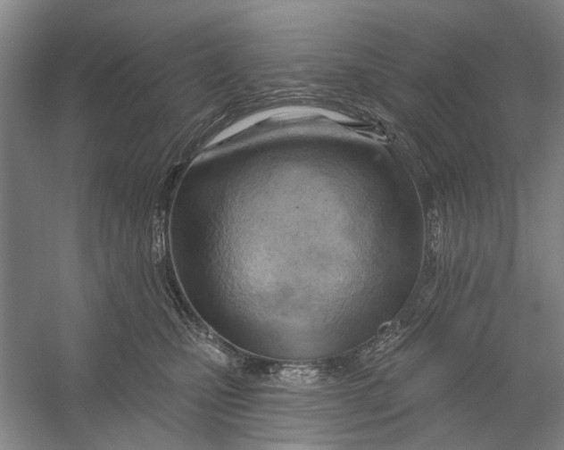 X0000054400471200508192010