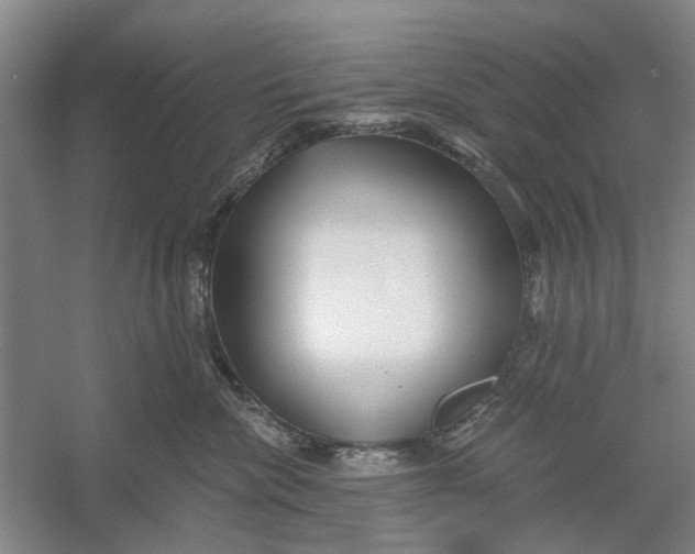 X0000054400476200508192010