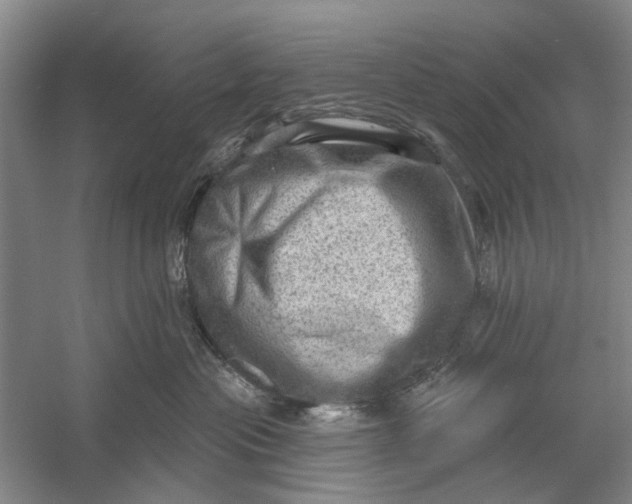 X0000054400477200508192010