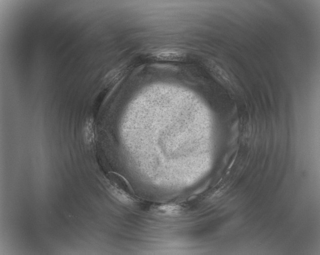 X0000054400478200508192010