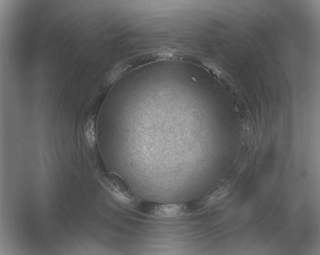 X0000054400479200508192010