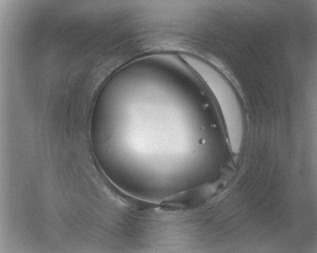 X0000054400481200508192009