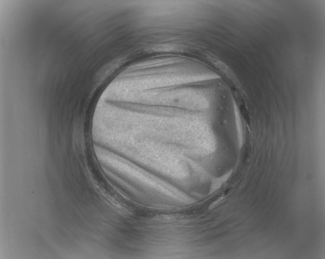 X0000054400482200508192009