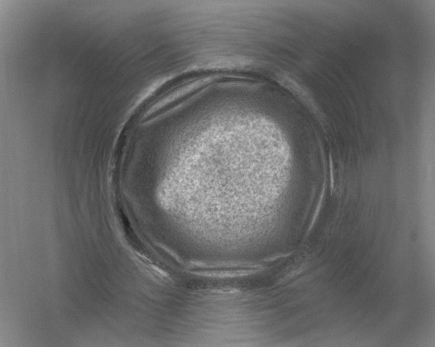 X0000054400483200508192009