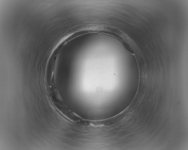 X0000054400484200508192009