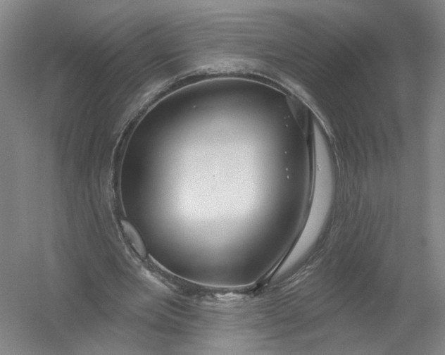 X0000054400485200508192009