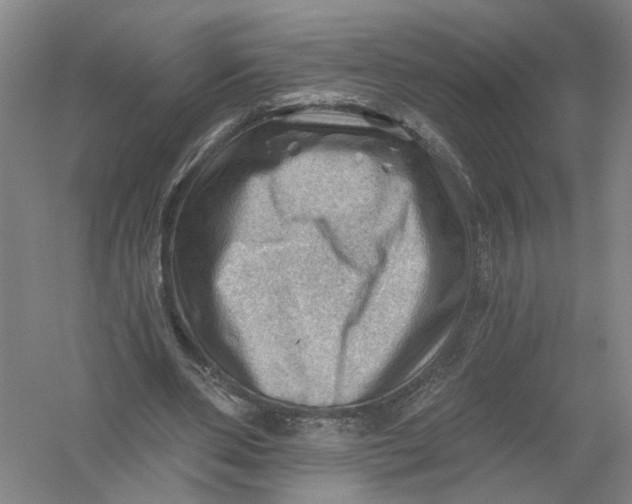 X0000054400486200508192009