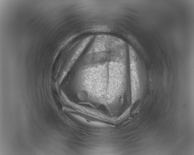 X0000054400487200508192009