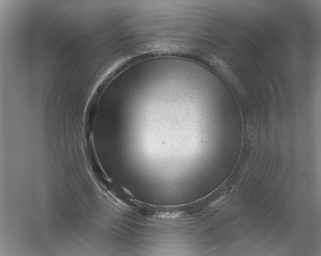 X0000054400488200508192009