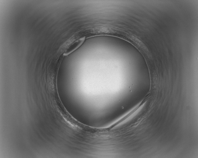 X0000054400489200508192009