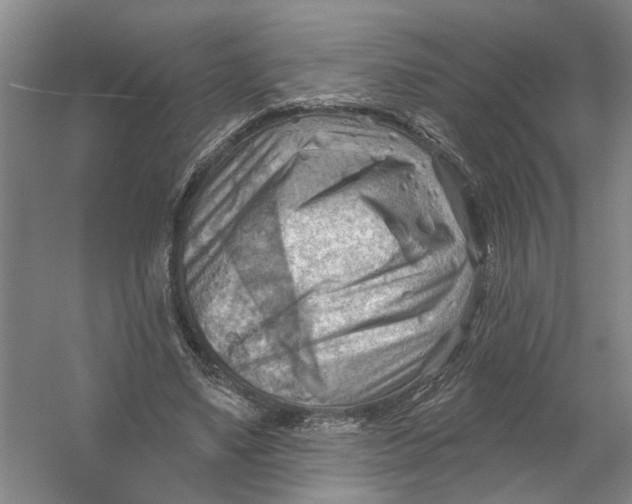 X0000054400491200508192009