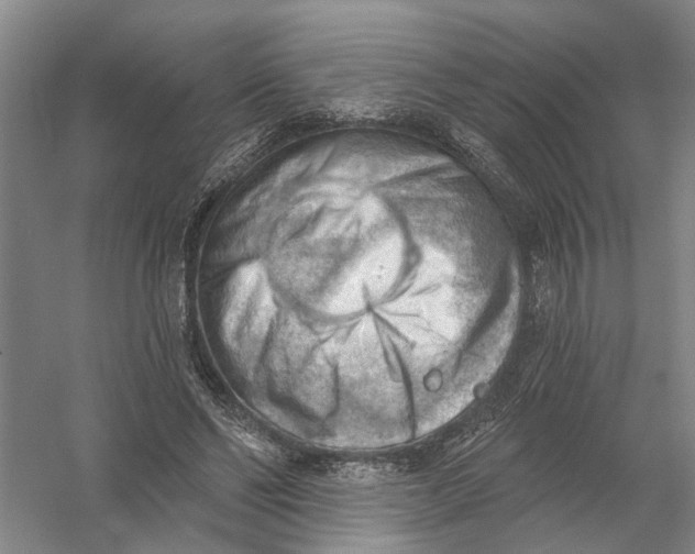 X0000054400494200508192009