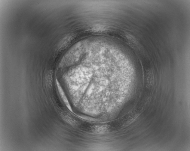 X0000054400495200508192009