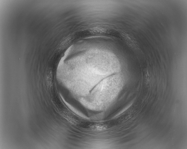 X0000054400498200508192009