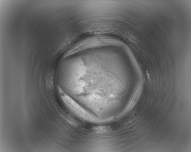 X0000054400499200508192009