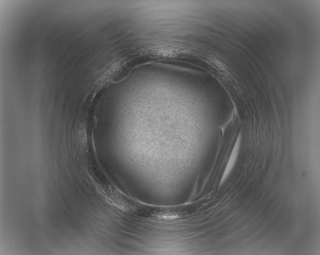 X0000054400500200508192009