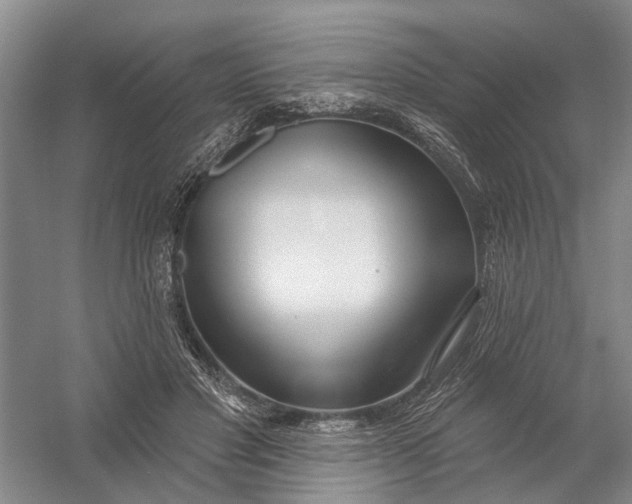 X0000054400501200508192009