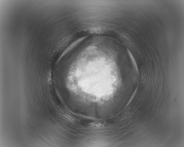 X0000054400502200508192008