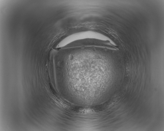 X0000054400503200508192008