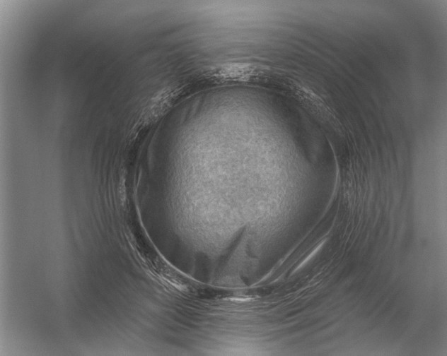 X0000054400504200508192008