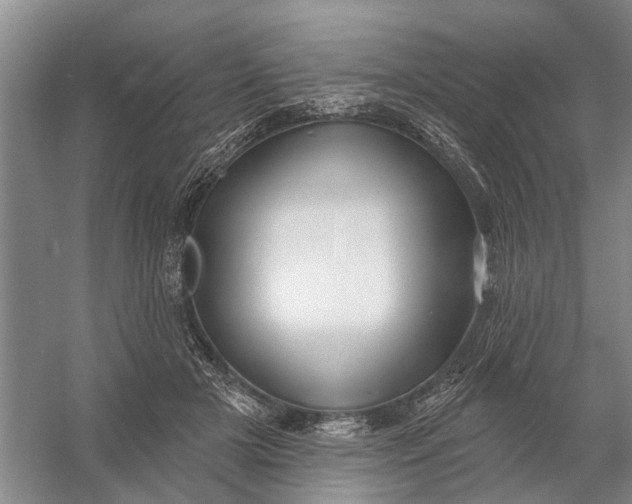 X0000054400505200508192008